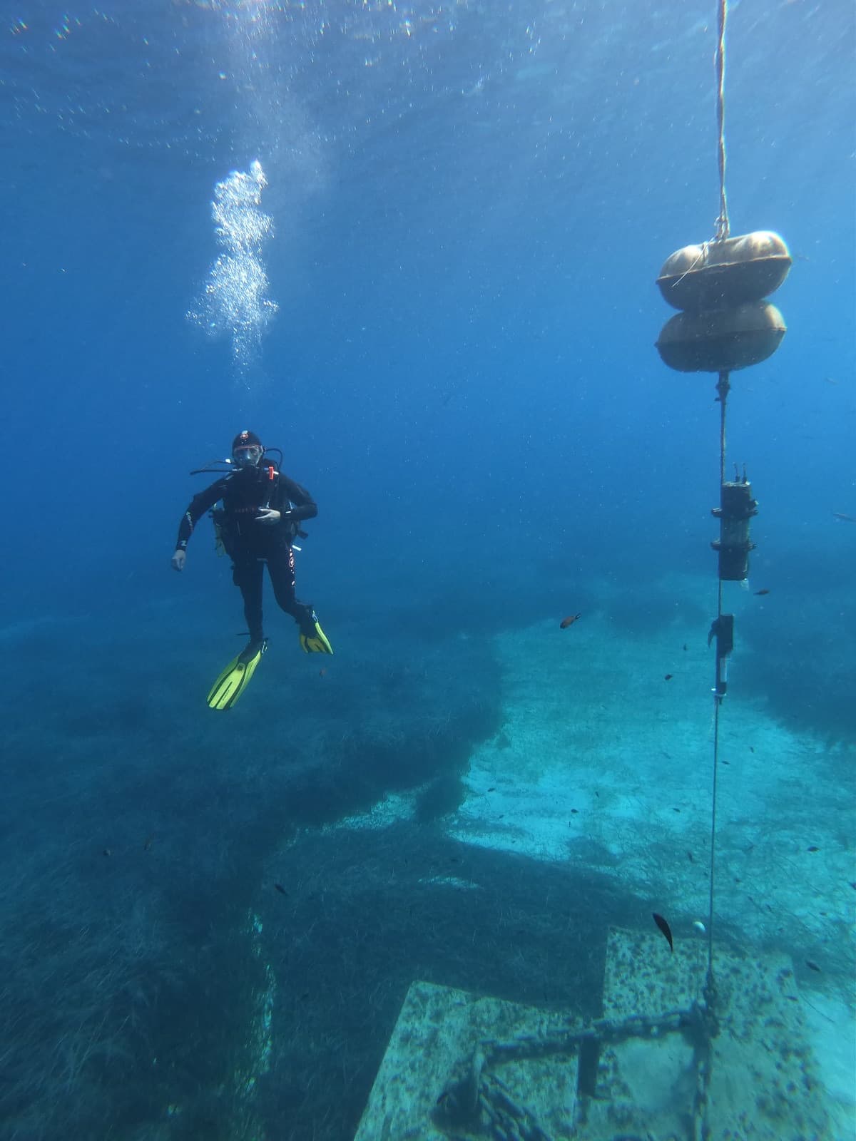 Mooring line with oceanographic sensors: pH, dissolved oxygen, temperature and salinity monitoring station