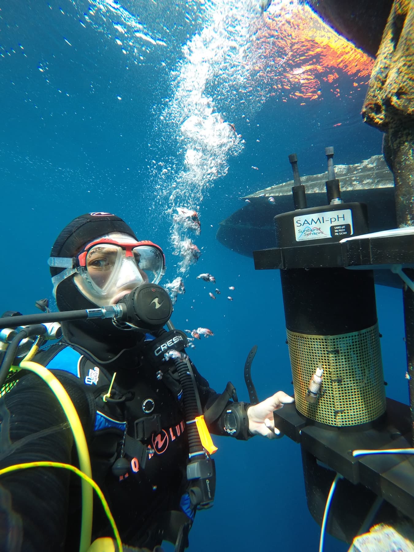 Underwater maintenance of moored biogeochemical sensors during an oceanographic campaign